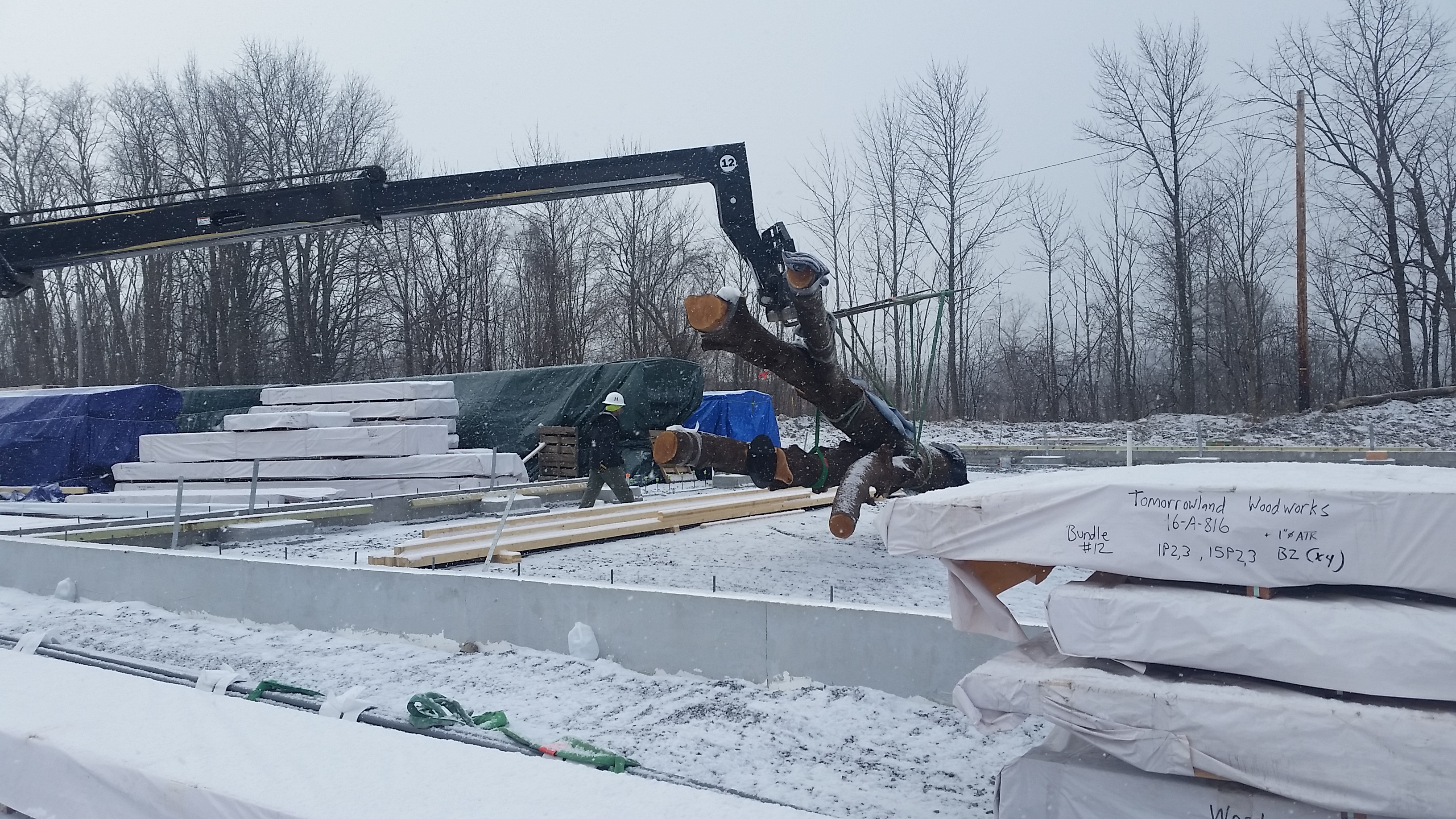 Atlas arrived to Farmington, NY on a typically snowy January day.