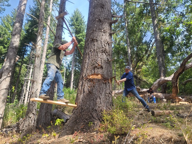 Chopity chop goes the ax in the woods