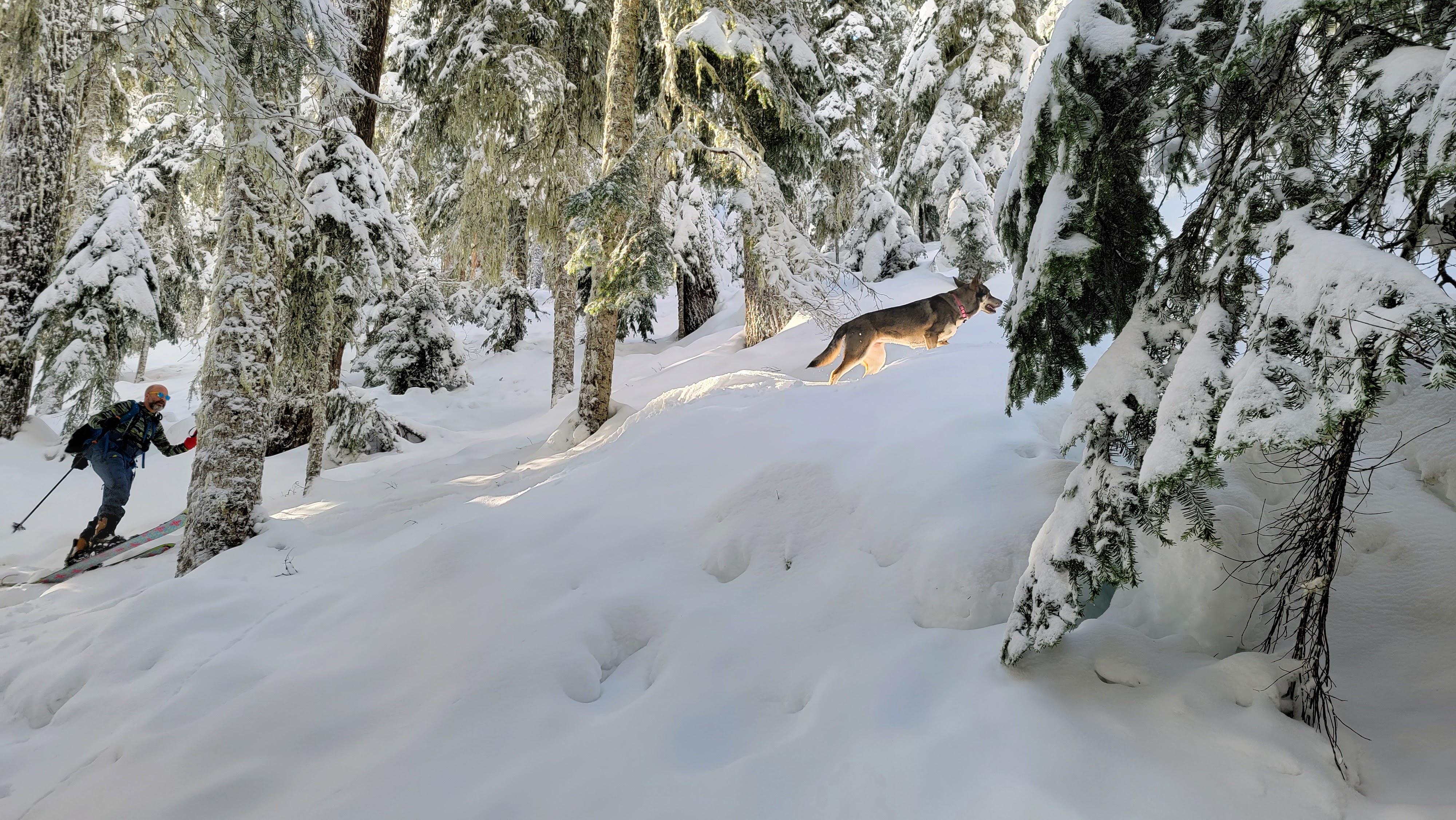Snow Day