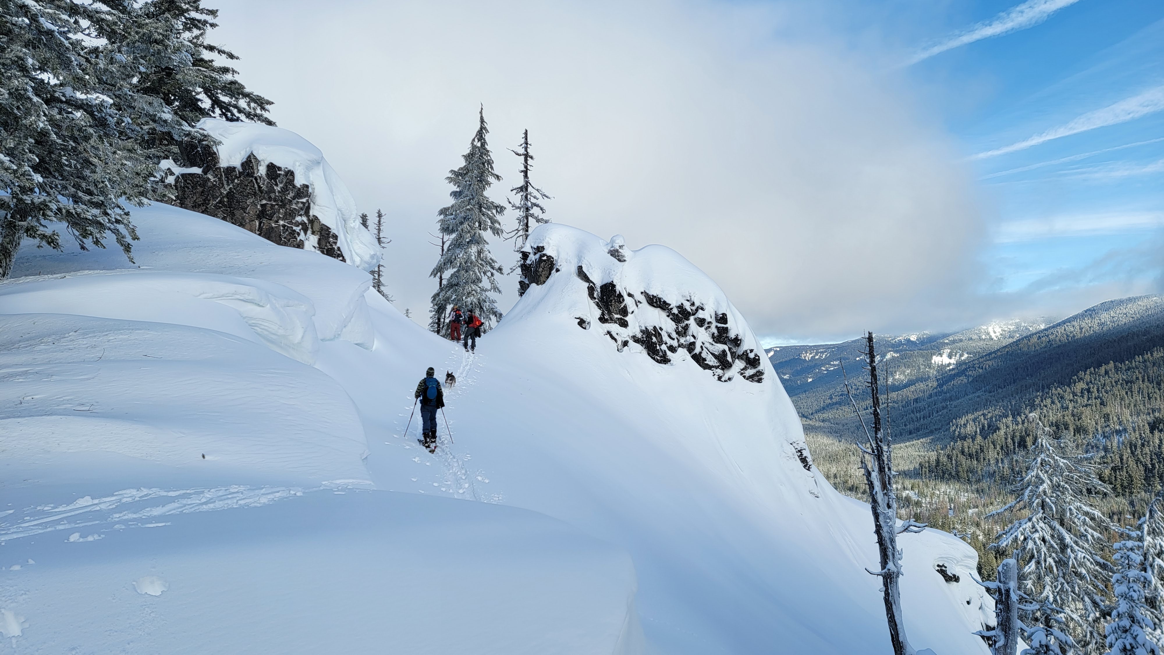 Snow Day