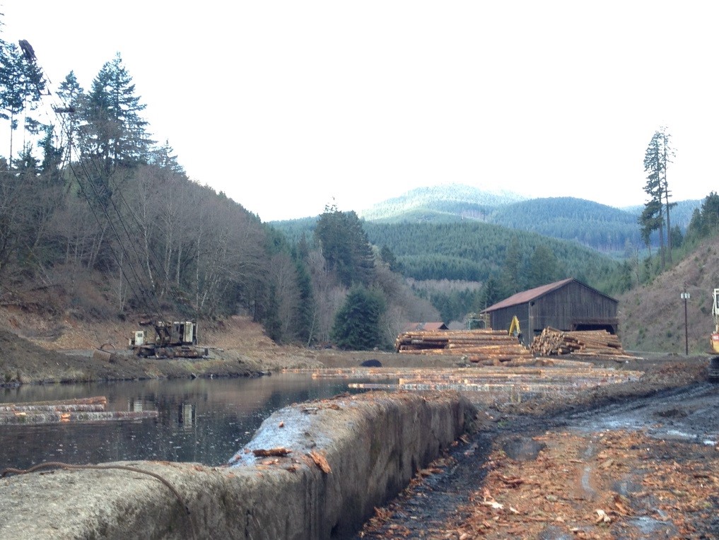 A picturesque photo from Hull Oaks.