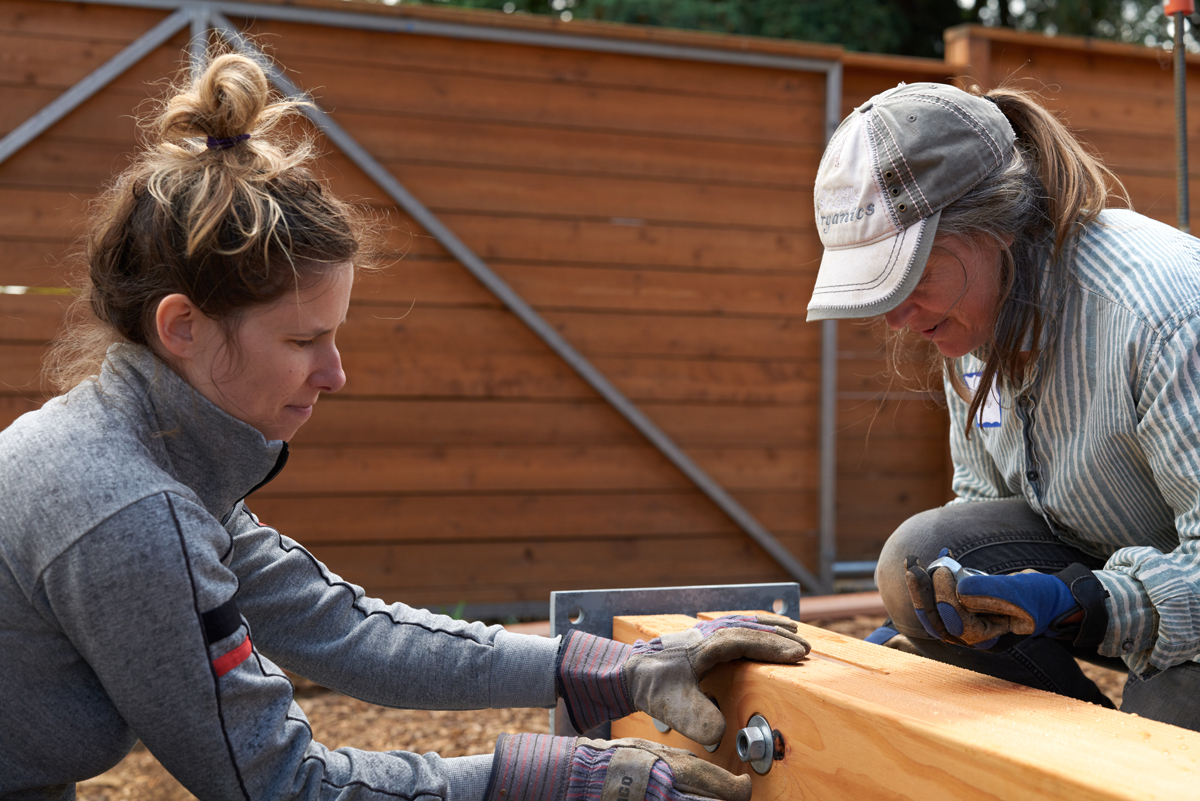 Timber Frame Pavilion Portland Oregon—Community Raising—New Energy Works