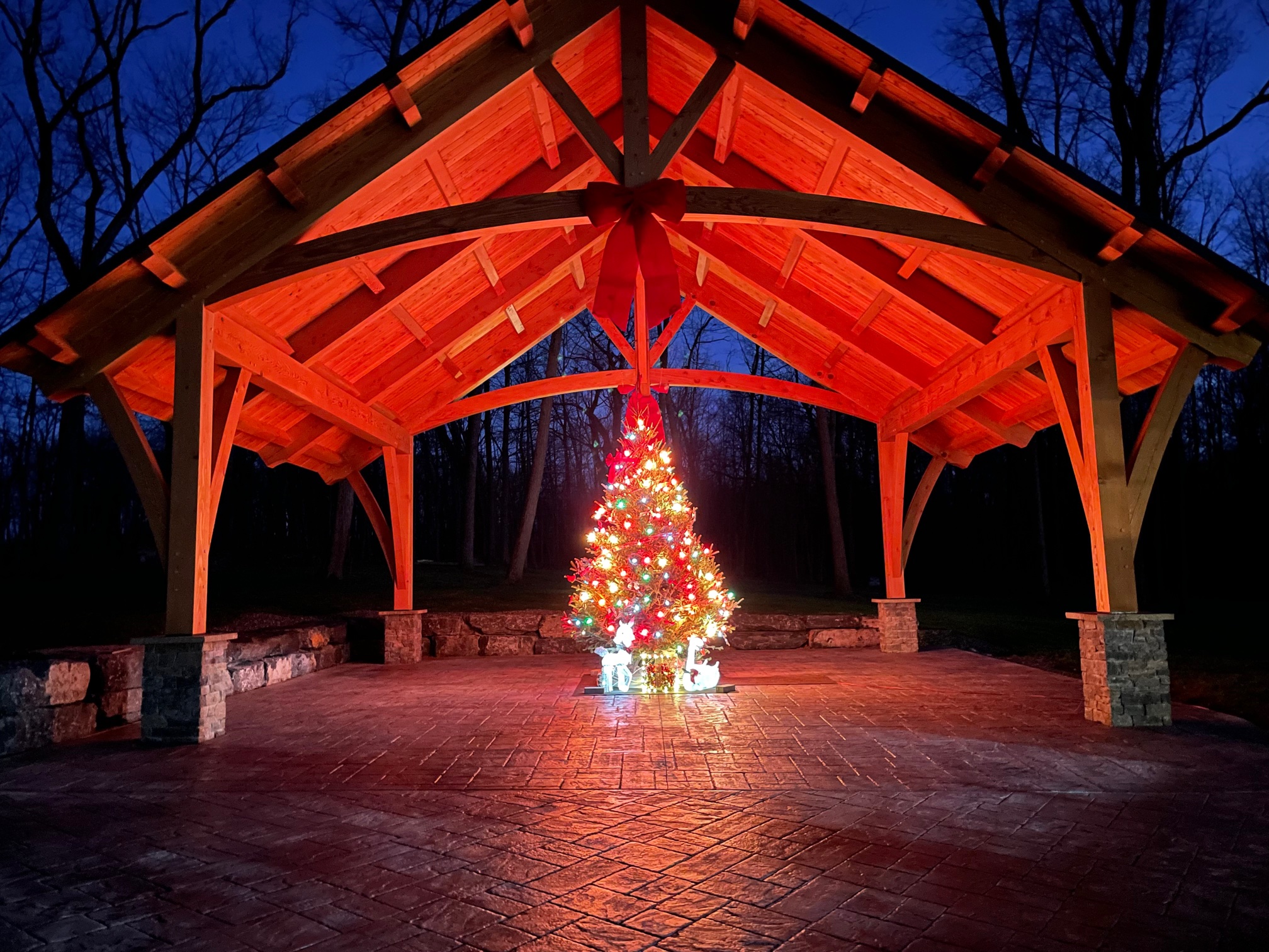 Pavilion Raising X-Mas