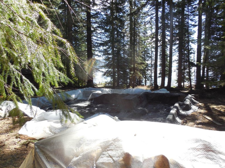 An archeologist was employed to verify any discovery of Native American artifacts and bones. If artifacts had been found the project would be shut down immediately and the cabin would not be able to be replaced.