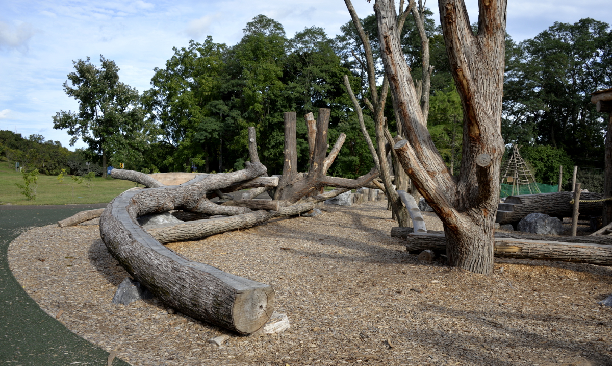 A curving tree branch inspired this narrow bridge element in the playground and influenced the line of the walkway/concrete around it.