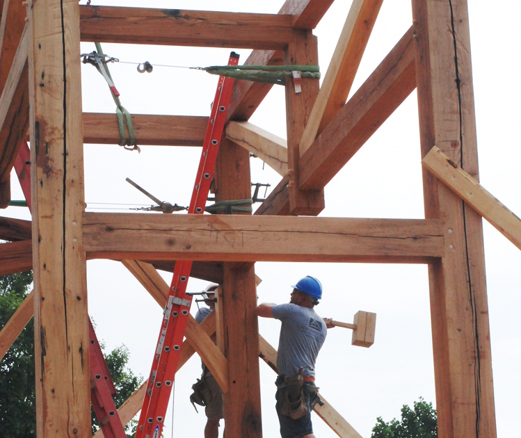 Jake takes a swing with the beetle during the raising of a reclaimed Chestnut frame in New York.