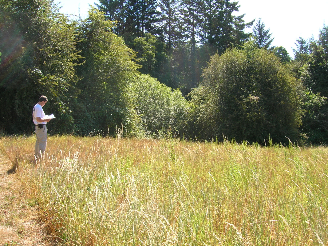 Looking at the backyard. Our build site was on a flag parcel in SW Portland, a lucky find at a time when land was hard to come by.