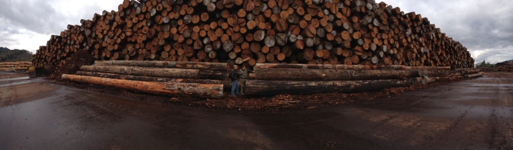 This is log supply – what you don’t see is the two rows stacked the same behind this on